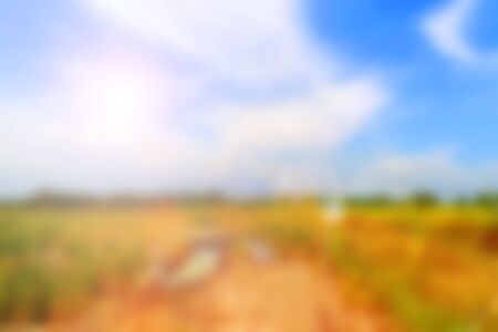 Blurred rice field with dry soil and blue skyの写真素材