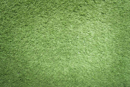 Grass texture background natural colorの写真素材