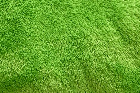 Green carpet floor texture background natural colorの写真素材