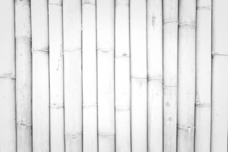 Bamboo wall texture background white colorの写真素材
