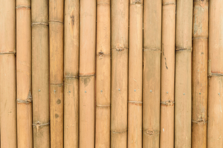 Bamboo wall texture background natural colorの写真素材