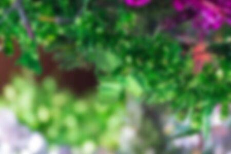 Blurred of Christmas tree decoration for merry christmas Xmas and happy new year