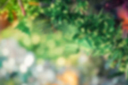 Blurred of Christmas tree decoration for merry christmas Xmas and happy new year , process in vintage styleの写真素材