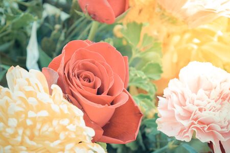 Beautiful rose flower in a bouquet, Naturally beautiful flowers in the garden , process in vintage styleの写真素材