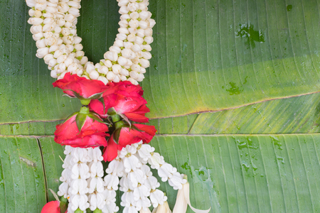 Beautiful garland jasmine and rose flower on green banana leafの写真素材