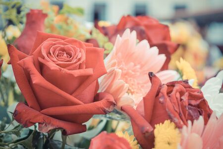Beautiful red rose flower in a bouquet, Naturally beautiful flowers in the garden , process in vintage styleの写真素材