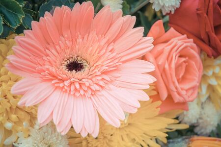 Beautiful pink flower in a bouquet, Naturally beautiful flowers in the garden , process in vintage styleの写真素材