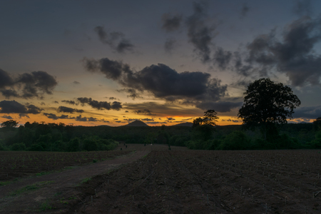 Big tree and sunlight on sky landscape backgroundの写真素材