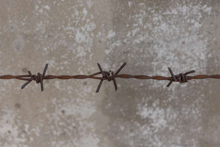 Barb with rusty, defocus blurred on wall background