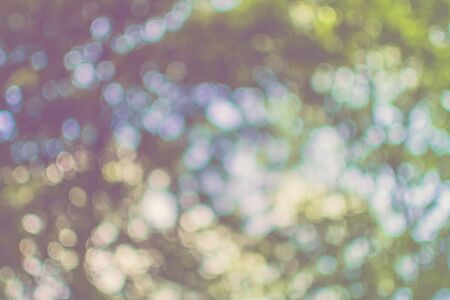Abstract bokeh sunlight and tree background of nature in green color