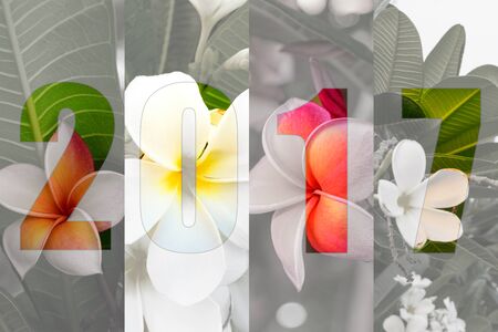 Happy New Year 2017 in Flower Theme, Naturally beautiful flowers in the gardenの写真素材