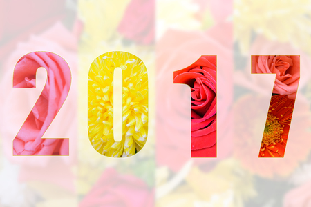 Happy New Year 2017 in Flower Theme, Naturally beautiful flowers in the garden