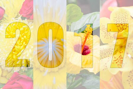 Happy New Year 2017 in Flower Theme, Naturally beautiful flowers in the gardenの写真素材