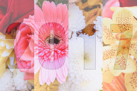 Happy New Year 2017 in Flower Theme, Naturally beautiful flowers in the garden