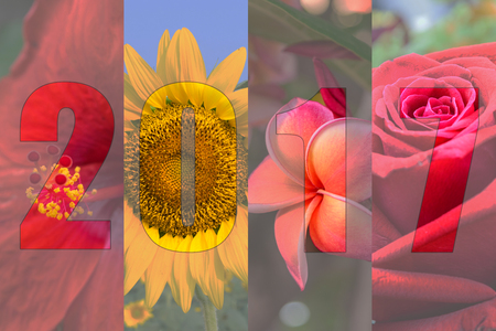 Happy New Year 2017 in Flower Theme, Naturally beautiful flowers in the garden