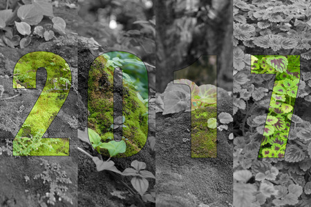 Happy New Year 2017 in Plant Theme (Moss plant green tree)