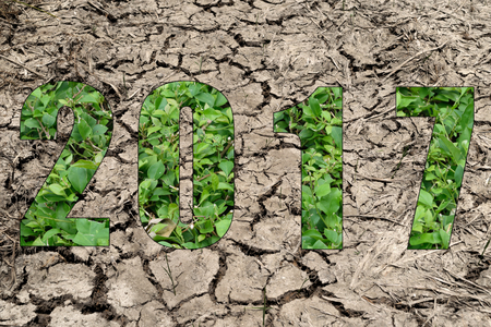 Happy New Year 2017 in Dry cracked soil and Plant Theme