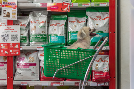 Bangkok, Thailand - April 8, 2017 : Dog so cute mixed breed with Shih-Tzu, Pomeranian and Poodle wait a pet owner for shop a pet food (Dog, Cat and other) on pet goods shelf in pet shop.のeditorial素材