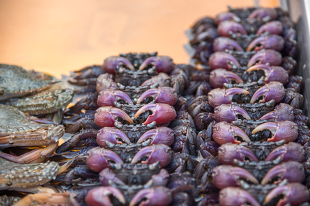 Salted crab is a pickled crab with salt it's raw and use for ingredient in Salted crab salad or Papaya salad at Thai street food marketの写真素材