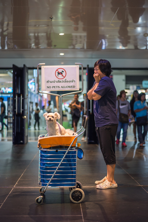 Bangkok, Thailand - July 1, 2017 : Unidentified asian woman feeling shocked when her and her pet (The dog) on shopping cart found warning sign No Pets Allowed at entrance door for exhibit hall or expoのeditorial素材