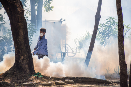 Bangkok, Thailand - November 19, 2016 : Unidentified people fogging DDT spray for mosquito kill and protect by control mosquito is a carrier of Malaria, Encephalitis, Dengue and Zika virus in village.のeditorial素材