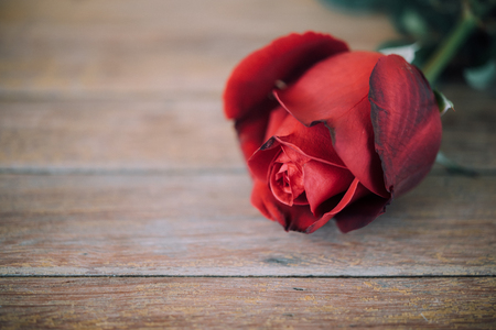 Red rose flower nature beautiful flowers from the garden on wooden floor with copy space in Valentine's Day, Wedding or Romantic Love conceptの写真素材