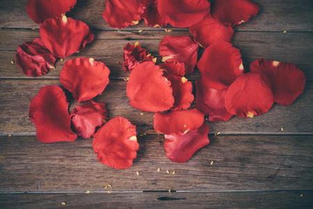 Petal of red rose flower nature beautiful flowers from the garden on wooden floor with copy space in Valentine's Day, Wedding or Romantic Love conceptの写真素材