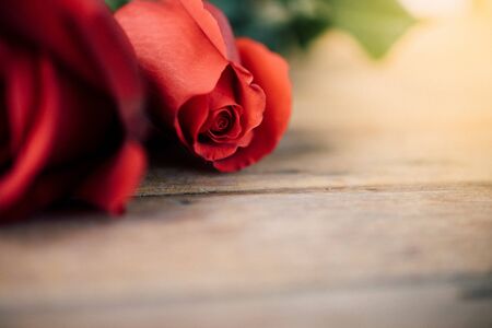 Red rose flower nature beautiful flowers from the garden on wooden floor with copy space in Valentine's Day, Wedding or Romantic Love conceptの写真素材