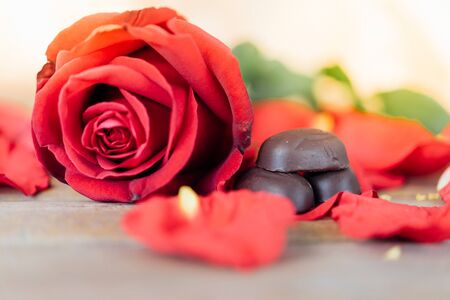 Red rose flower nature beautiful flowers from the garden and petal of red rose flower and chocolate on wooden floor with copy space in Valentine's Day, Wedding or Romantic Love conceptの写真素材