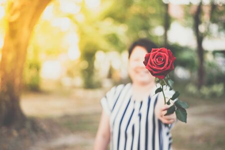 Red rose flower nature beautiful flowers from the garden and human hand holding red rose flower for valentines give with copy space in Valentine's Day, Wedding or Romantic Love Valentine conceptの写真素材
