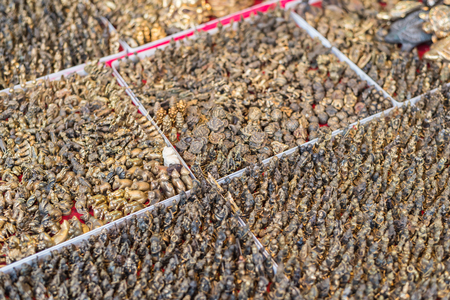 Amulets is a buddha symbol it small or big make from clay, wood, gold, brass, silver, copper, metal or bronze this for lucky or bless this is a believe for buddhism religion in asiaの写真素材