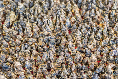 Amulets is a buddha symbol it small or big make from clay, wood, gold, brass, silver, copper, metal or bronze this for lucky or bless this is a believe for buddhism religion in asiaの写真素材