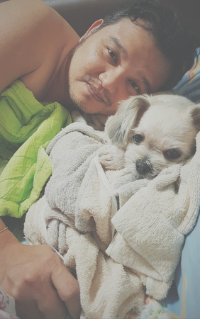 Dog so cute mixed breed with Shih-Tzu, Pomeranian and Poodle sitting or sleep lies on bed with white...
