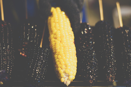 Roasted or Grilled Corn and Purple Corn (Black Glutinous Corn) for sale at Thai street food market or restaurant in Thailandの写真素材