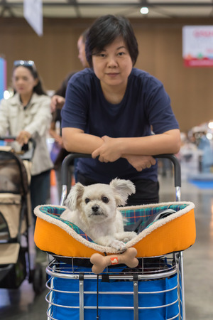 Bangkok, Thailand - July 1, 2017 : Unidentified asian woman feeling happy when her and her pet (The dog) on shopping cart allowed to entrance for exhibit hall or expoのeditorial素材