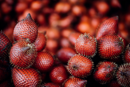 Salacca wallichiana or zalacca is fruit have a pricker on skin in Thailand and asia fruit have a sweet can buy at Thai street food and fruit marketの写真素材