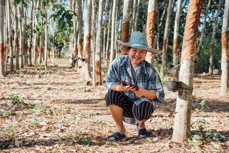 Asian woman smart farmer agriculturist happy at a rubber tree plantation with Rubber tree in row natural latex is a agriculture harvesting natural rubber in white milk color for industry in Thailandの写真素材