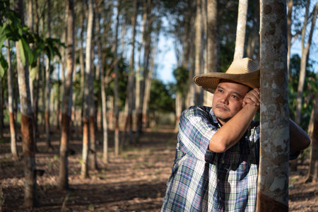 Asian man farmer agriculturist unhappy from low yield productivity at rubber tree plantation with Rubber tree in row natural latex is agriculture harvesting natural rubber for industry in Thailandの写真素材