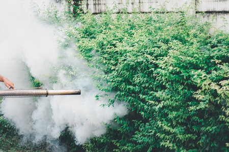 People fogging DDT spray for mosquito kill and protect by control mosquito is a carrier of Malaria, Encephalitis, Dengue and Zika virus in village.の写真素材