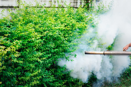 People fogging DDT spray for mosquito kill and protect by control mosquito is a carrier of Malaria, Encephalitis, Dengue and Zika virus in village.の写真素材