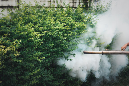 People fogging DDT spray for mosquito kill and protect by control mosquito is a carrier of Malaria, Encephalitis, Dengue and Zika virus in village.の写真素材