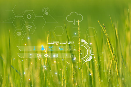 Smart farm digital icon and futuristic AI data infographic of Landscape nature of rice field on rice...