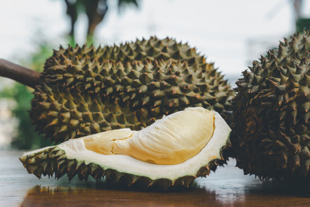 Durian is a king of fruit in Thailand and asia fruit have a spikes shell and sweet can buy at Thai...