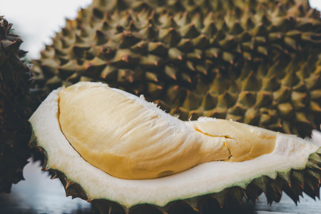 Durian is a king of fruit in Thailand and asia fruit have a spikes shell and sweet can buy at Thai street food and fruit market at agriculture farmの写真素材