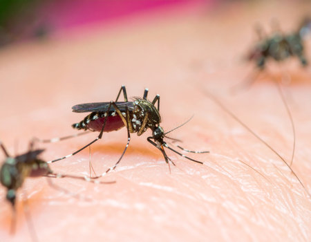 AI generated super macro close-up of multiple aedes mosquitoes simultaneously feeding on human skin, showing proboscis penetration and blood vessels with detailed swarm behaviorの素材
