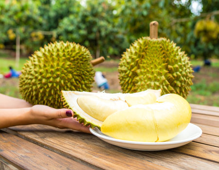 AI generated A wooden table filled with fresh thai durians some halved and peeled flesh on white plate looking delicious Background shows durian orchard with farmers harvesting agricultureの素材