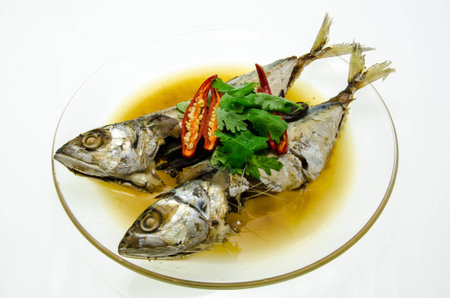 Mackerel Fishの写真素材