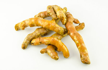  fresh turmeric の写真素材