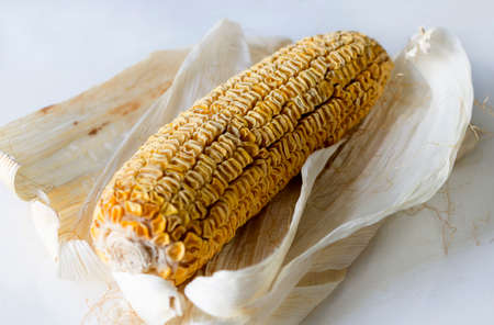 dry corn closeup on white background