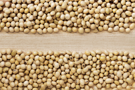 A pile of soybeans, divided into two rows on the wood table. Soybean is a leguminous plant native to Asia, widely cultivated for its edible seeds. with copy space for your text.の写真素材